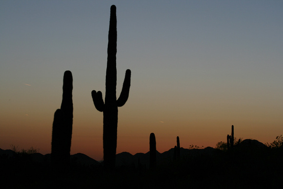 Desert Sunset over Scottsdale