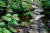 Stone crossing over small brook