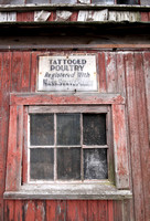 Tattooed Poultry